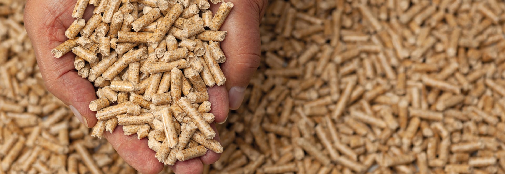 Tout savoir sur les pellets de bois