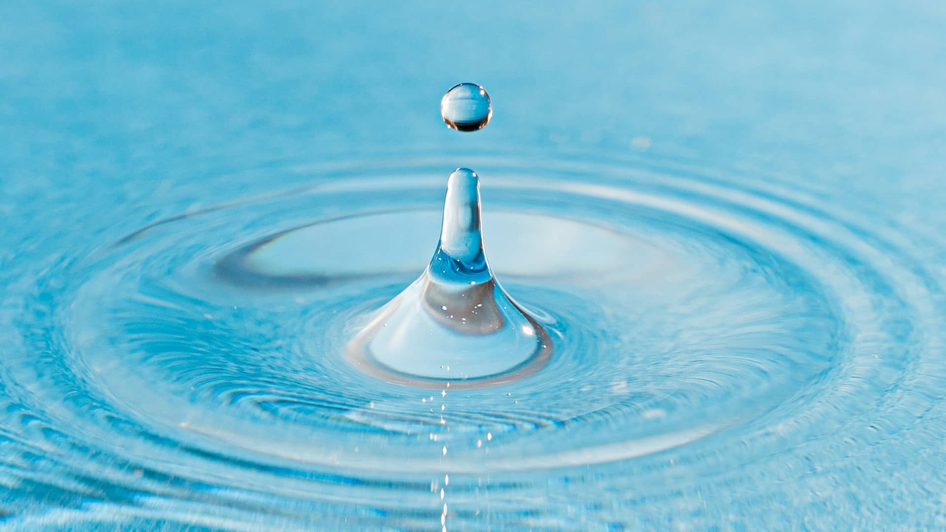 Picoty : Trois enjeux majeurs adressés pollution de l'eau