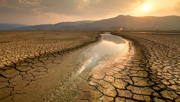 Picoty : Changement climatiques quelles actions concrètes