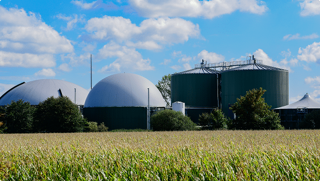 Une offre de gaz naturel pour chaque secteur d’activité