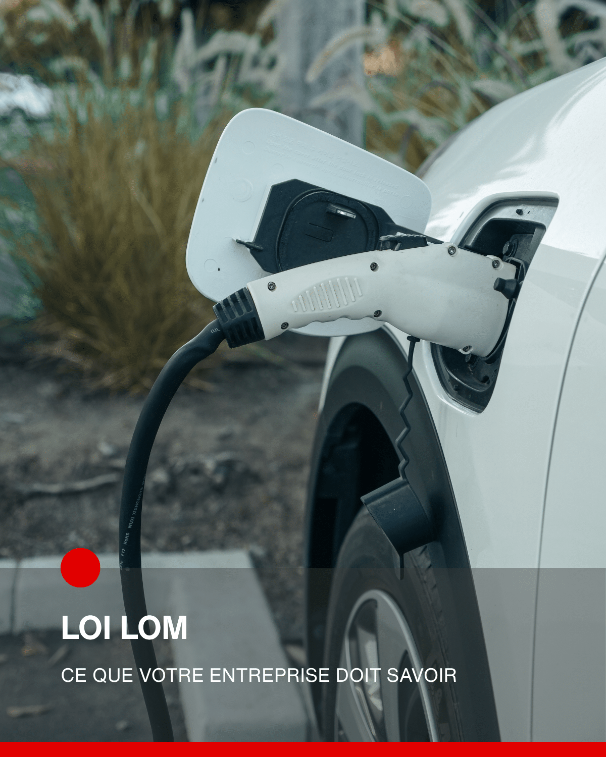 Loi LOM